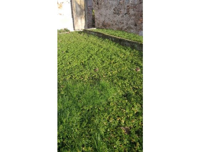 Anteprima foto 5 - Rustico/Casale in Vendita a Sostegno (Biella)