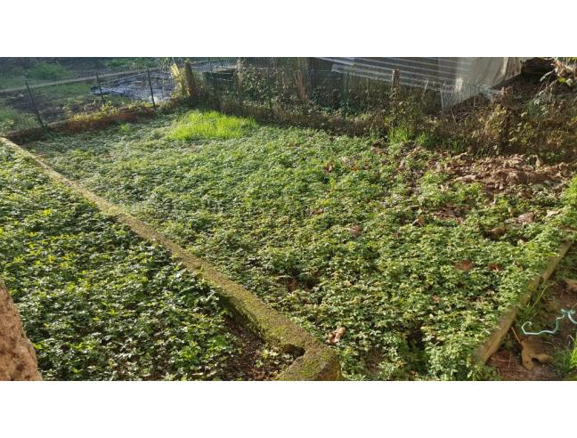 Anteprima foto 6 - Rustico/Casale in Vendita a Sostegno (Biella)