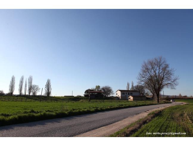 Anteprima foto 3 - Rustico/Casale in Vendita a Spoleto (Perugia)