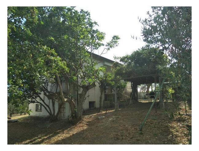 Anteprima foto 8 - Rustico/Casale in Vendita a Teano (Caserta)