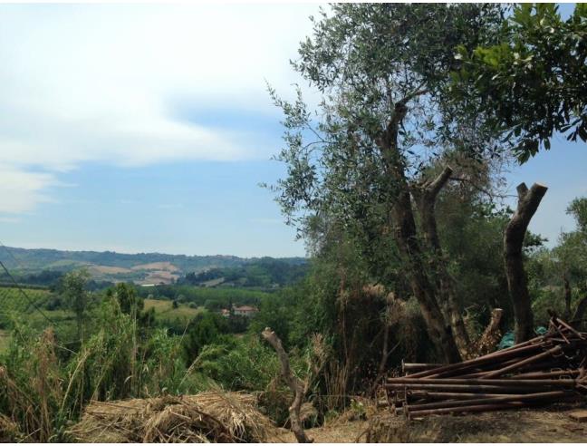 Anteprima foto 5 - Rustico/Casale in Vendita a Terricciola (Pisa)