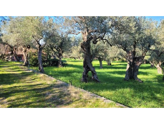 Anteprima foto 8 - Rustico/Casale in Vendita a Tivoli (Roma)