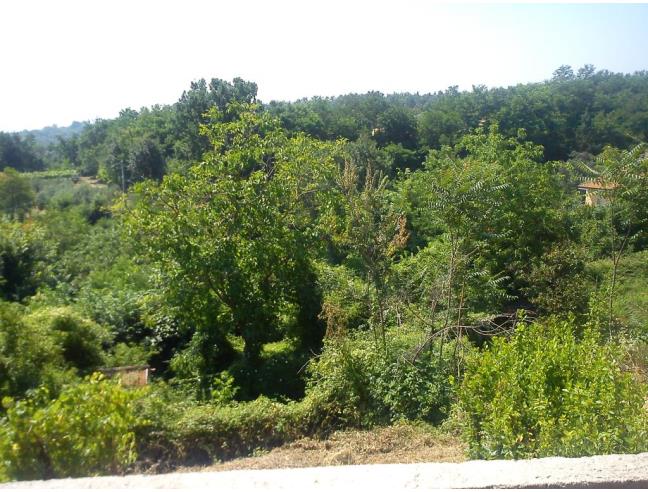 Anteprima foto 5 - Rustico/Casale in Vendita a Tora e Piccilli - Piccilli