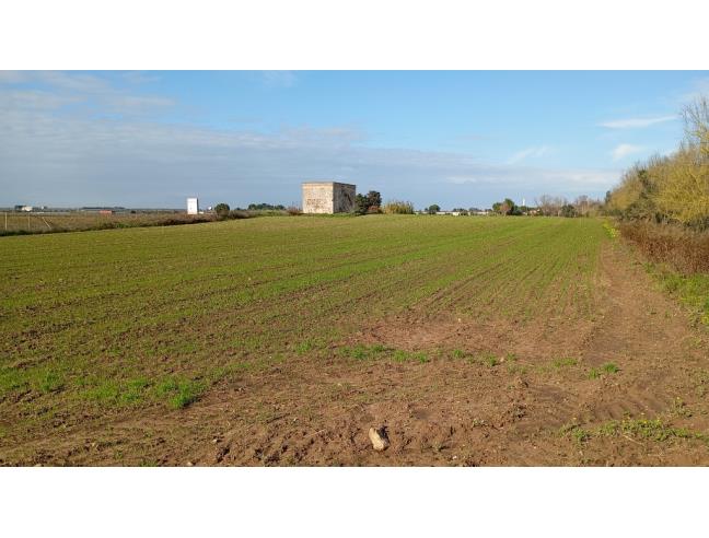 Anteprima foto 2 - Rustico/Casale in Vendita a Torchiarolo (Brindisi)