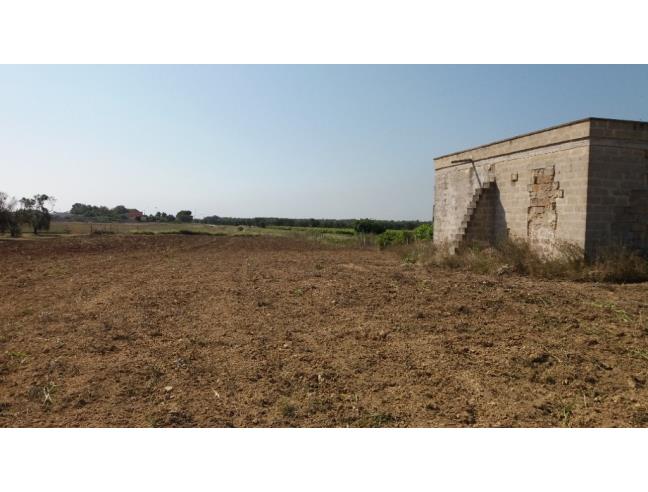 Anteprima foto 3 - Rustico/Casale in Vendita a Torchiarolo (Brindisi)