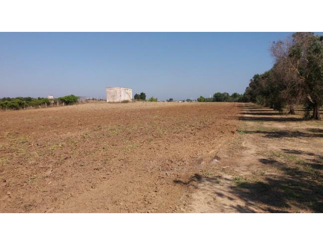 Anteprima foto 4 - Rustico/Casale in Vendita a Torchiarolo (Brindisi)