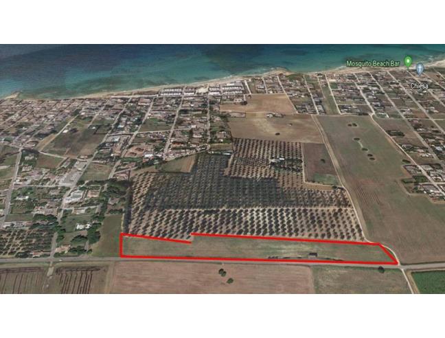 Anteprima foto 6 - Rustico/Casale in Vendita a Torchiarolo (Brindisi)