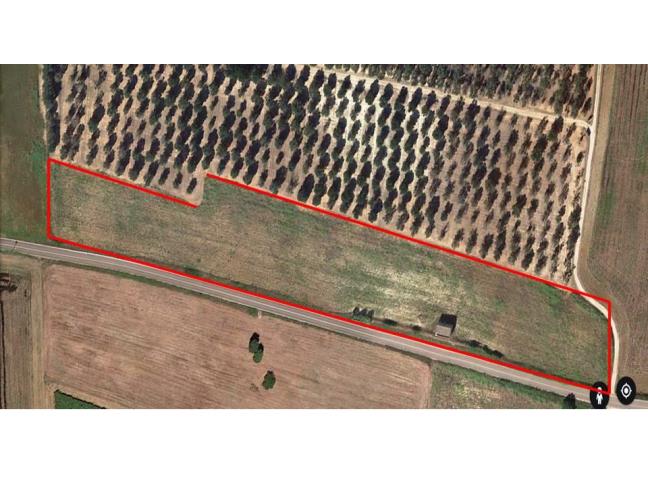 Anteprima foto 2 - Rustico/Casale in Vendita a Torchiarolo - Lindinuso