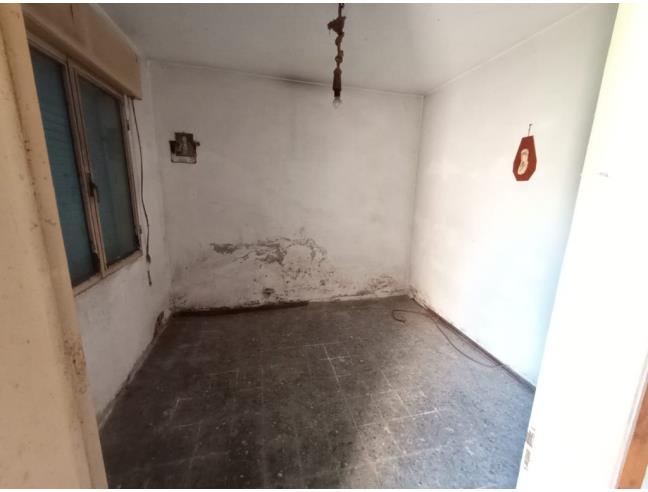 Anteprima foto 5 - Rustico/Casale in Vendita a Trebaseleghe (Padova)