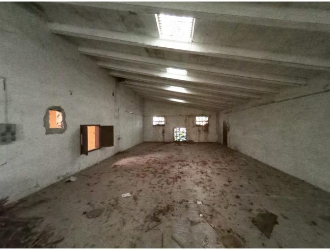 Anteprima foto 8 - Rustico/Casale in Vendita a Trebaseleghe (Padova)