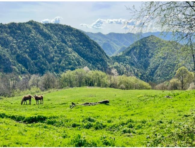 Anteprima foto 2 - Rustico/Casale in Vendita a Treviso Bresciano (Brescia)