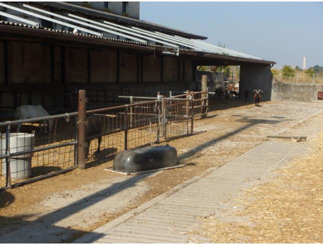 Anteprima foto 3 - Rustico/Casale in Vendita a Valeggio sul Mincio (Verona)