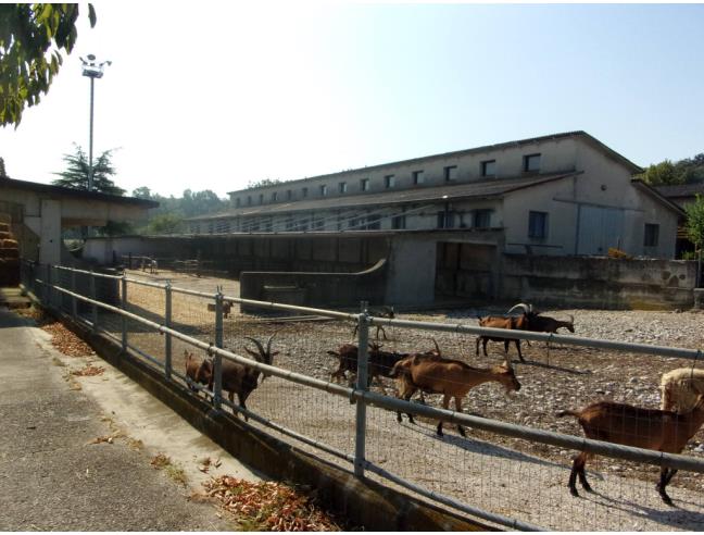 Anteprima foto 4 - Rustico/Casale in Vendita a Valeggio sul Mincio (Verona)