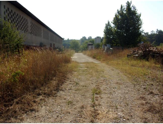 Anteprima foto 5 - Rustico/Casale in Vendita a Valeggio sul Mincio (Verona)