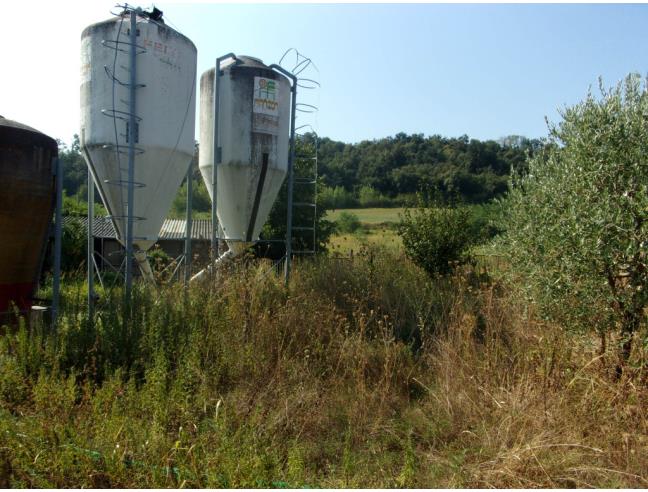 Anteprima foto 7 - Rustico/Casale in Vendita a Valeggio sul Mincio (Verona)