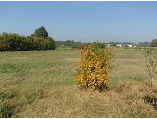 Anteprima foto 8 - Rustico/Casale in Vendita a Valeggio sul Mincio (Verona)