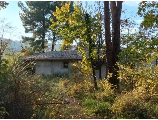 Anteprima foto 3 - Rustico/Casale in Vendita a Valfabbrica (Perugia)