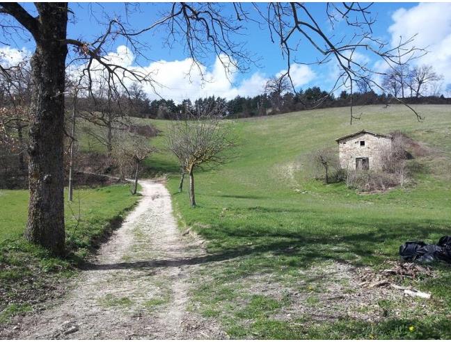 Anteprima foto 4 - Rustico/Casale in Vendita a Valfornace (Macerata)
