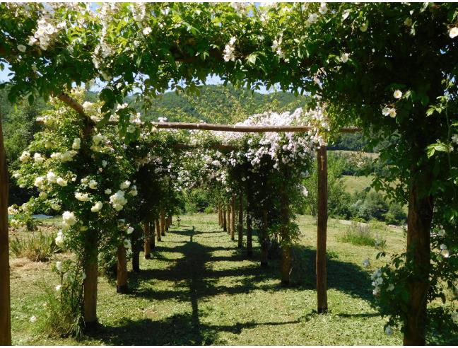 Anteprima foto 6 - Rustico/Casale in Vendita a Valsamoggia (Bologna)