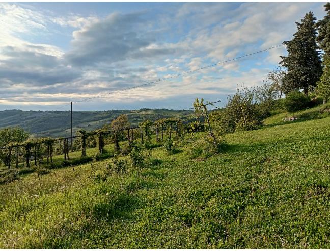 Anteprima foto 8 - Rustico/Casale in Vendita a Valsamoggia (Bologna)