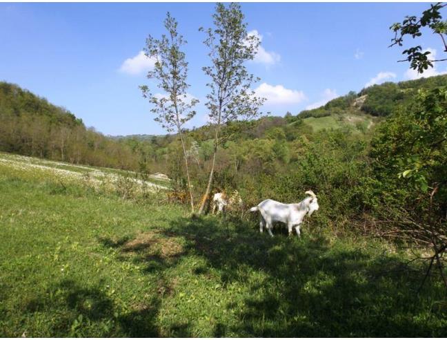 Anteprima foto 2 - Rustico/Casale in Vendita a Varzi (Pavia)