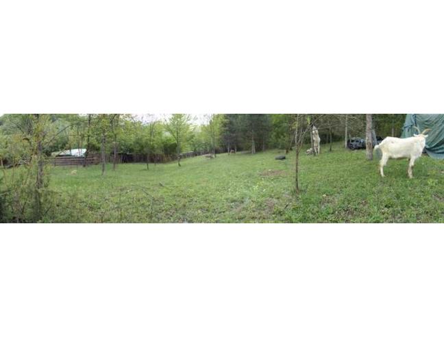 Anteprima foto 3 - Rustico/Casale in Vendita a Varzi (Pavia)