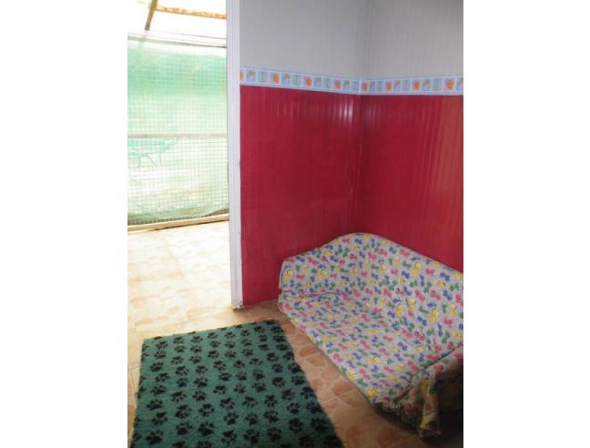 Anteprima foto 6 - Rustico/Casale in Vendita a Varzi (Pavia)