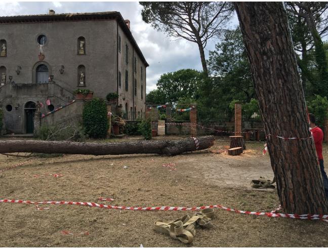 Anteprima foto 3 - Rustico/Casale in Vendita a Vasanello (Viterbo)