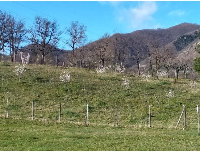 Anteprima foto 2 - Rustico/Casale in Vendita a Vergato (Bologna)