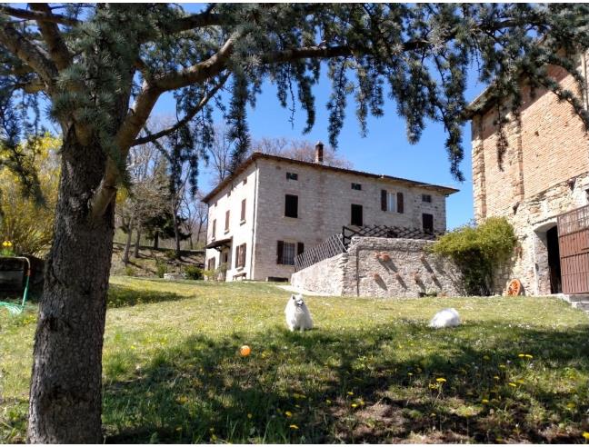 Anteprima foto 5 - Rustico/Casale in Vendita a Vergato (Bologna)