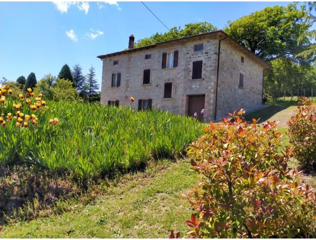 Anteprima foto 7 - Rustico/Casale in Vendita a Vergato (Bologna)