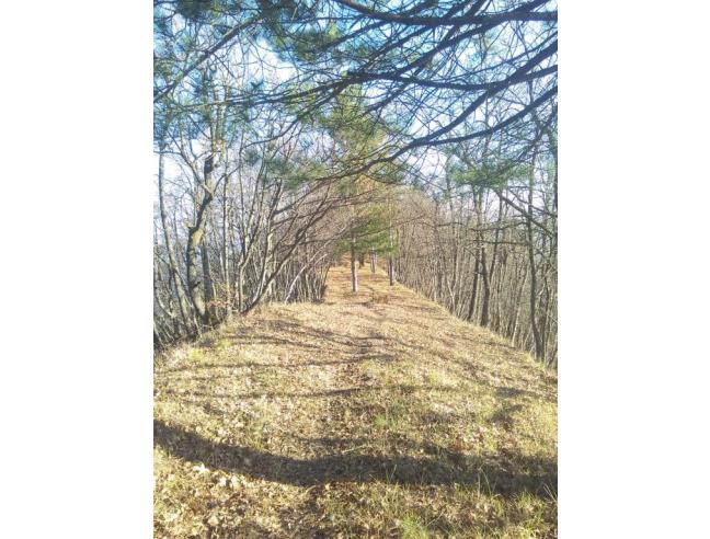Anteprima foto 2 - Rustico/Casale in Vendita a Vetto - Il Casone