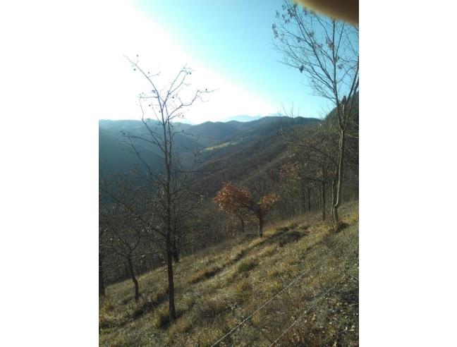 Anteprima foto 3 - Rustico/Casale in Vendita a Vetto - Il Casone