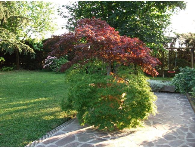 Anteprima foto 2 - Rustico/Casale in Vendita a Viadana - Salina