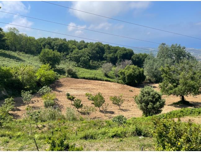 Anteprima foto 4 - Rustico/Casale in Vendita a Vibo Valentia (Vibo Valentia)