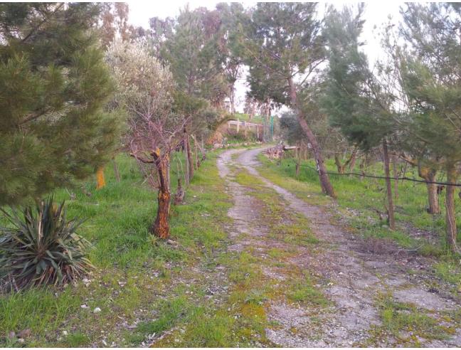 Anteprima foto 3 - Rustico/Casale in Vendita a Vicari (Palermo)