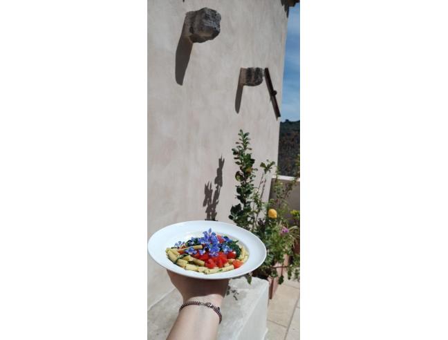 Anteprima foto 2 - Rustico/Casale in Vendita a Vico del Gargano (Foggia)