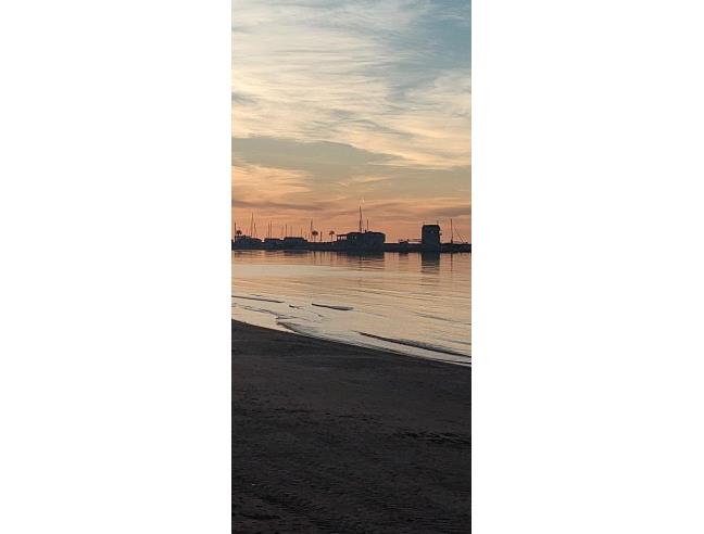 Anteprima foto 3 - Rustico/Casale in Vendita a Vico del Gargano (Foggia)