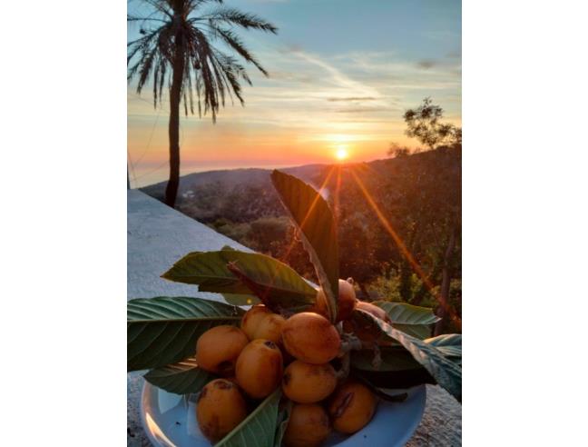 Anteprima foto 5 - Rustico/Casale in Vendita a Vico del Gargano (Foggia)