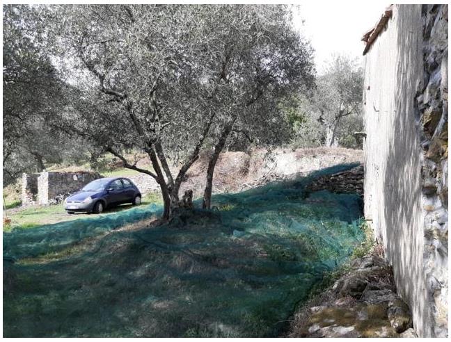 Anteprima foto 5 - Rustico/Casale in Vendita a Vicopisano (Pisa)