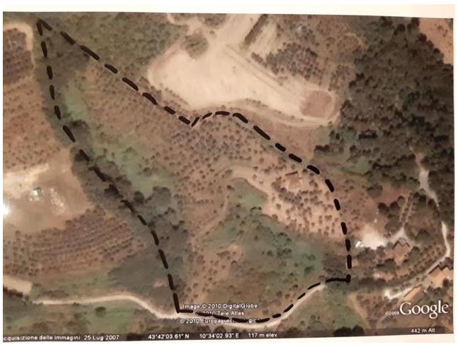 Anteprima foto 8 - Rustico/Casale in Vendita a Vicopisano (Pisa)