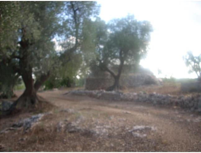 Anteprima foto 2 - Rustico/Casale in Vendita a Villa Castelli (Brindisi)