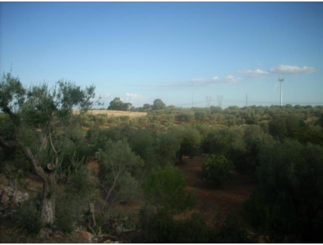 Anteprima foto 4 - Rustico/Casale in Vendita a Villa Castelli (Brindisi)