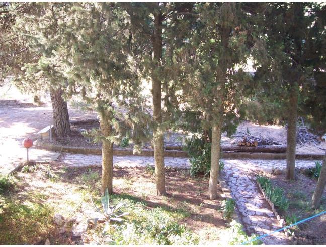 Anteprima foto 4 - Rustico/Casale in Vendita a Villalba (Caltanissetta)