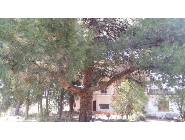 Anteprima foto 5 - Rustico/Casale in Vendita a Villalba (Caltanissetta)