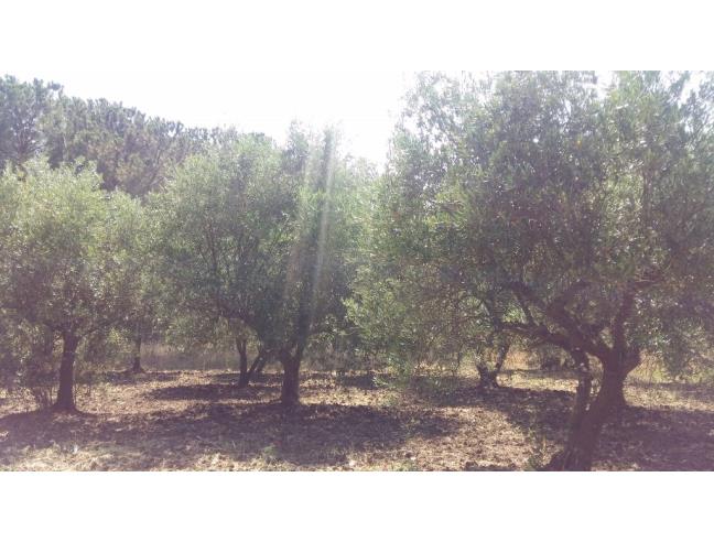 Anteprima foto 6 - Rustico/Casale in Vendita a Villalba (Caltanissetta)