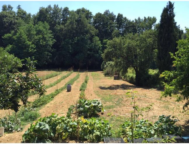 Anteprima foto 5 - Rustico/Casale in Vendita a Vinci (Firenze)