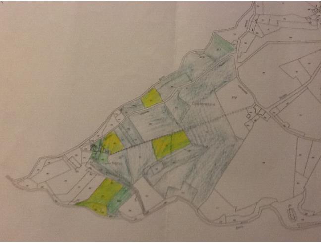 Anteprima foto 6 - Rustico/Casale in Vendita a Vinci (Firenze)