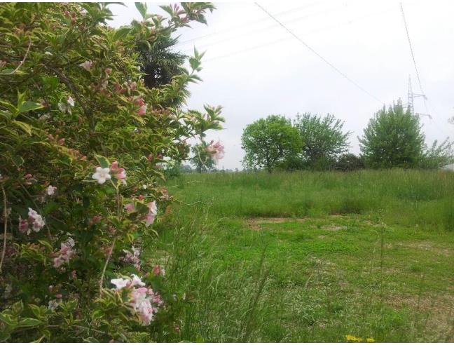 Anteprima foto 6 - Rustico/Casale in Vendita a Volpago del Montello (Treviso)