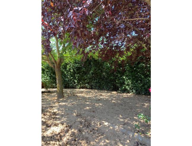 Anteprima foto 5 - Rustico/Casale in Vendita a Volterra (Pisa)